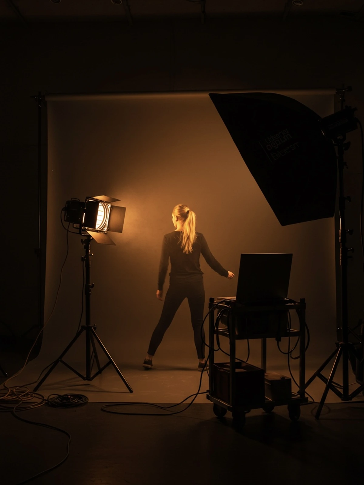 Consultant presenting AI image strategy to clients